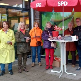Landtagswahl Staende Barendorf